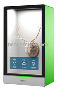 Transparent LCD display cabinet